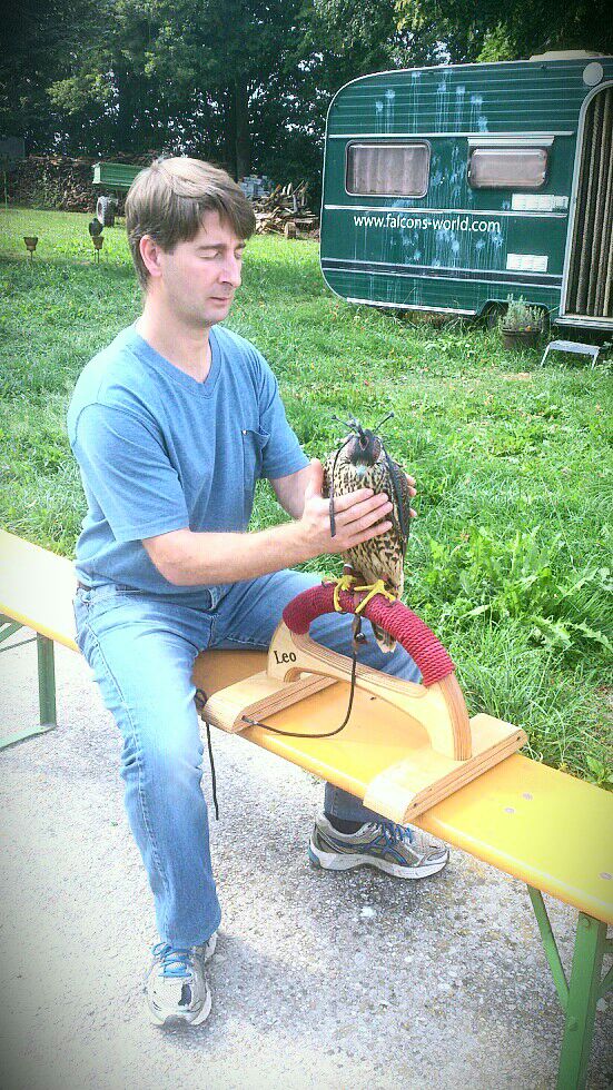 ostéopathie oiseaux