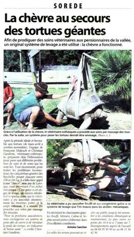 ostéopathie centre soin tortue