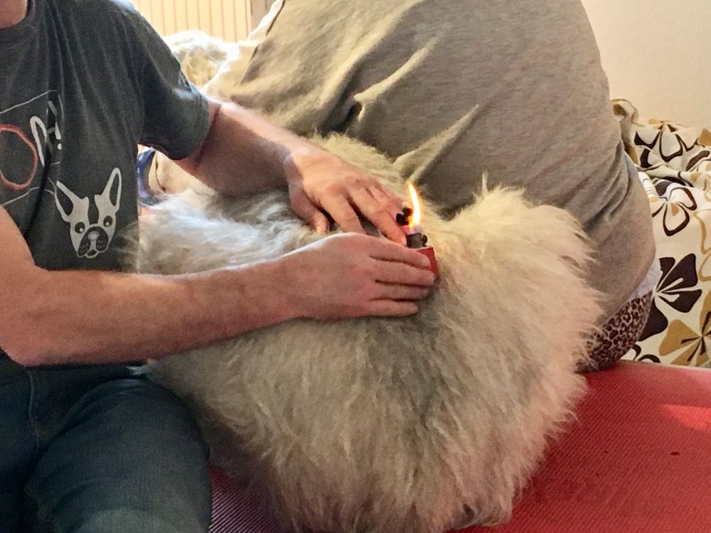 nao-veto-christian-gaudron-osteopathie-acupuncture-naturopathie-electromagnetisme-animaux-veterinaire-89