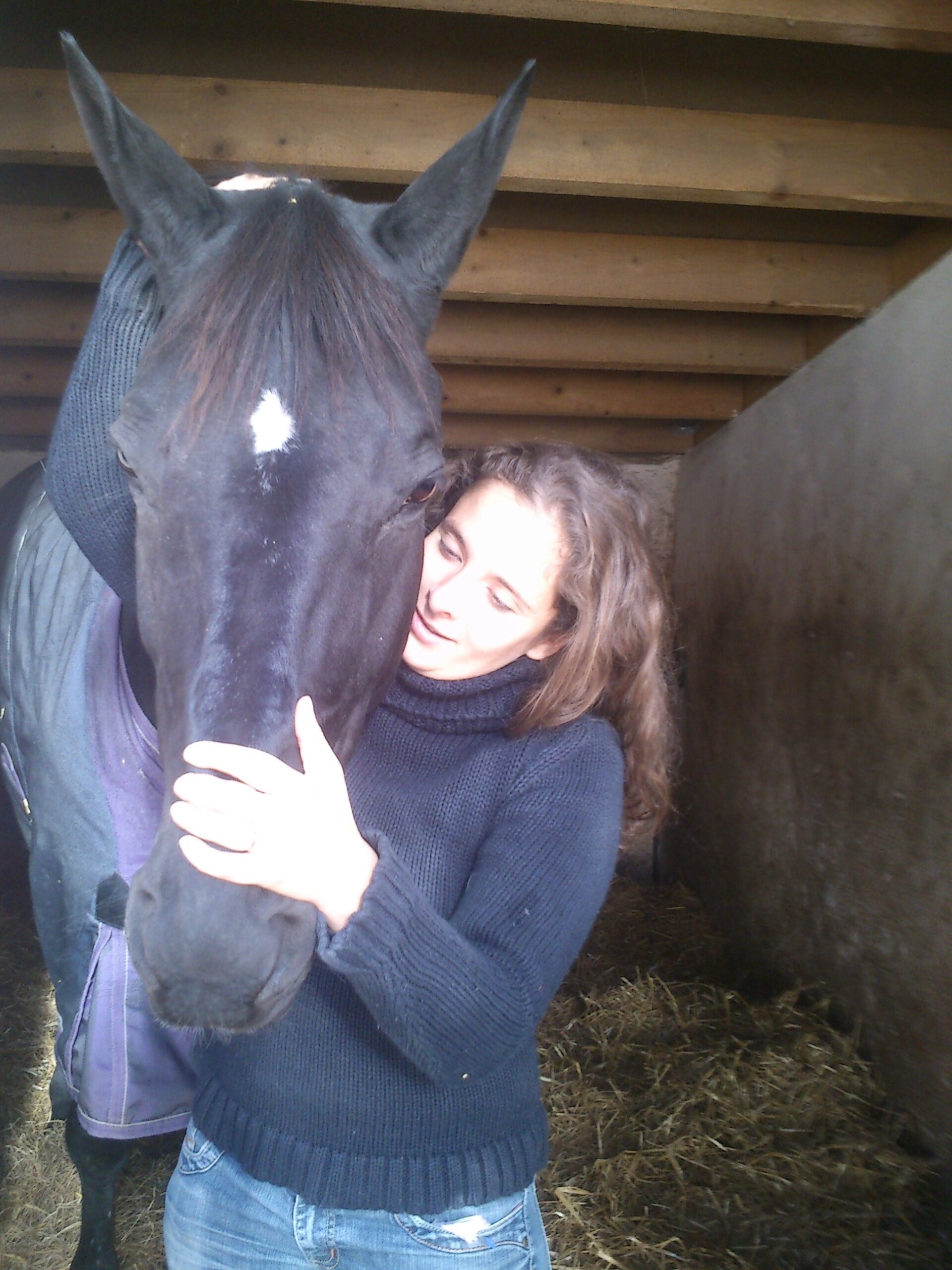 écoute cranienne cheval