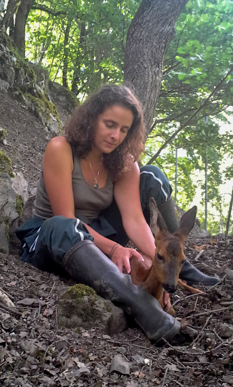ostéoapathie faune sauvage